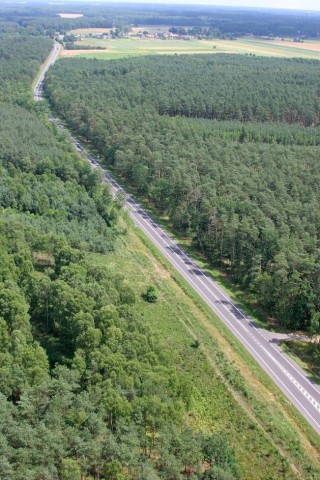 Modernizacja drogi krajowej nr 6 na odcinku Goleniów-Bodzęcin